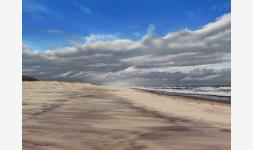 NausetBeachWinterClearing300JPG
